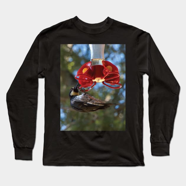 Acorn Woodpecker Raiding A Hummingbird Feeder Long Sleeve T-Shirt by DPattonPD